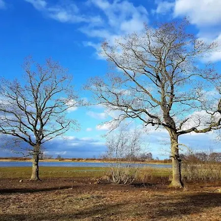 4 Star In Bogense-by Traum بوجنسي